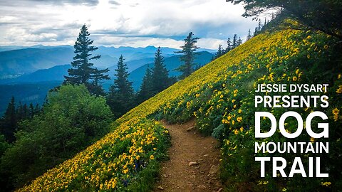 Dog Mountain Trail 4K Virtual Hike with Wildflowers: Washington State Relaxing Nature Sounds