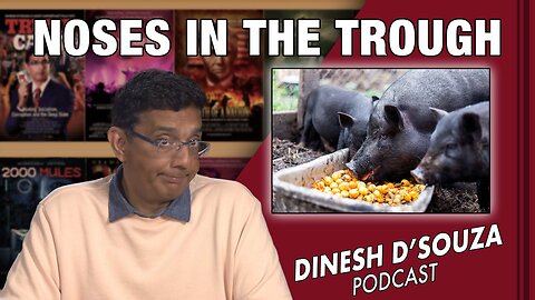NOSES IN THE TROUGH Dinesh D’Souza Podcast Ep512