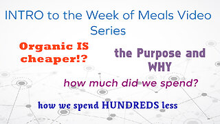 INTRO to the Weekly Meal Plan Video Series: How we eat for HUNDREDS less!