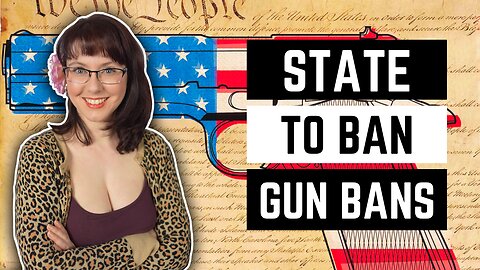 State to Ban Gun Bans!