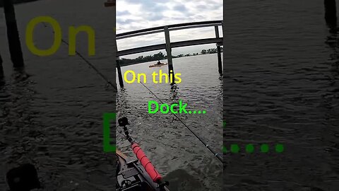 Man VS Dock!! #shorts #florida #fishing