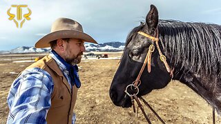 Connecting with a Horse - Calibar Day 1