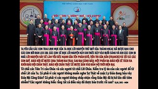 Những Điểm Tương Đồng Chính của các TĐ của Viên Sỏi Nhỏ (Phêrô II) và của Maria Divine Mercy. (P5)