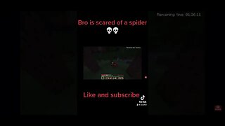 Minecraft, he is scared of a spider 💀💀