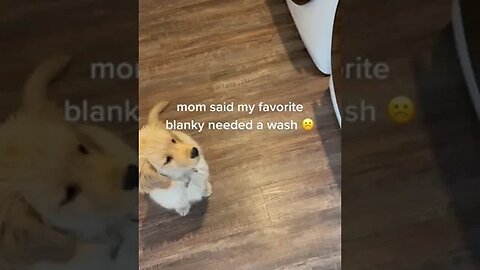 Favorite Blanky tiktok coconutisgolden