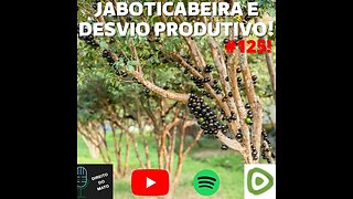 #125 JABOTICABEIRA E DESVIO PRODUTIVO