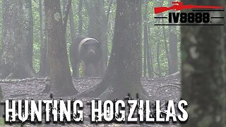 Hunting HOGZILLAS in East Tennessee!