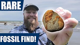 I found a rare fossil from an ancient whale! Fossil hunting adventure on the South Island