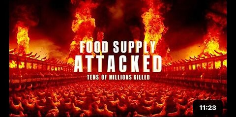 100's of Millions of Chickens Put Down. Gov. Attack on Food. The Flu Tests Are Fake