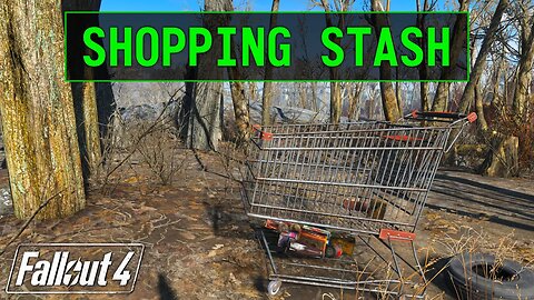 Fallout 4 | Shopping Cart Stash