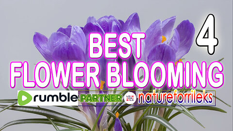 Best Flower Blooming Part-4