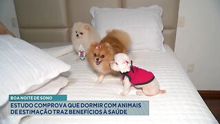 Boa Noite de Sono: Estudo Comprova que Dormir com Animais de Estimação Traz Benefícios à Saúde.