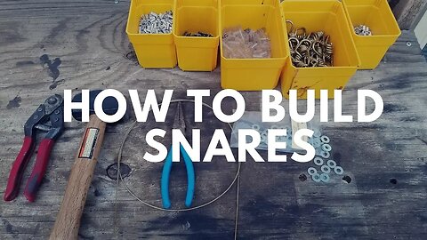How to Build a Beaver Snare