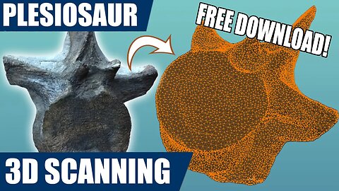 3D scanning my fossil plesiosaur vertebra (Revopoint POP 2 unboxing)