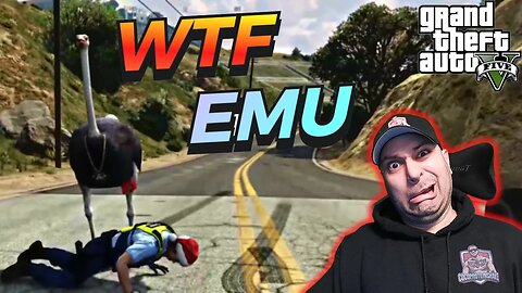 Emu Saves The Day - Highway Patrol - Grand Theft Auto V - GTA 5 Roleplay - Cocoproteinshake