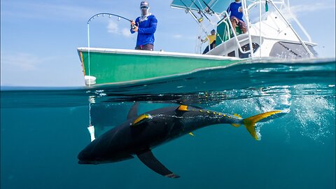 BATTLING Deep Sea GIANTS… Catch Clean Cook (Tropic Star lodge)