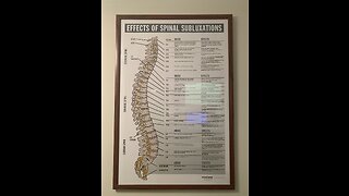 Effects of Spinal Subluxations