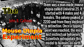 The (John B. Calhoun) Mouse Utopia Experiments