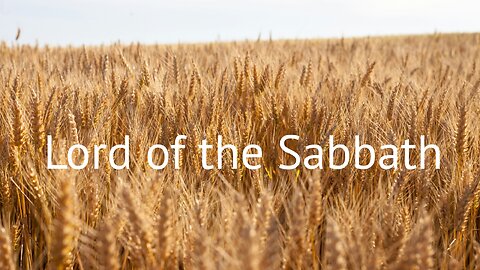 Lord of the Sabbath - Mark 2:23-28 - June 2, 2024