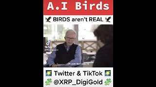 Artificial Intelligence BIRDS