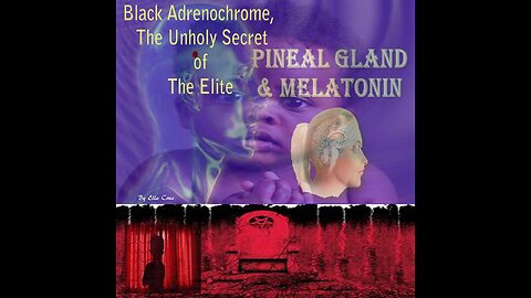 Two Types Of Crystals In The Pineal Gland