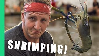 Shrimping in Taipei, Taiwan!