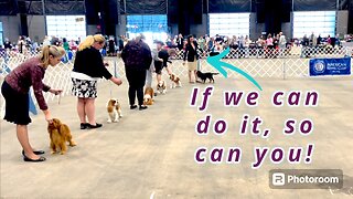 It’s Only Scary Because It’s New | 1st AKC Dog Show With Cavalier