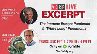 EXCERPT: Bill Gates Insider Geert Vanden Bossche Blows Whistle on Coming ‘Wave’ of ‘Unprecedented Deaths’ Among Vaxxed (December 14, 2023) With link to the entire episode and document (May 4, 2024) in description below video