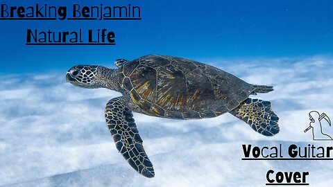 Vocal Guitar Cover - Breaking Benjamin : Natural Life