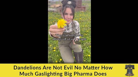 Dandelions Are Not Evil No Matter How Much Gaslighting Big Pharma Does