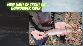 Winter Trout Fishing on Gun Powder River #Gunpowderriver #wintertrout #goldentrout