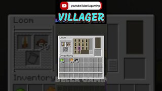 Villager Banner | Minecraft