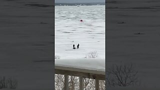 Sunday morning ice fishing on lake superior. ￼