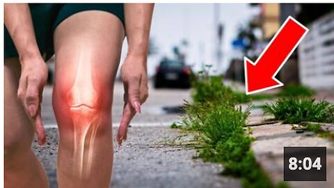 The Best Natural Remedy for Arthritis Is Growing Right on Your Sidewalk!