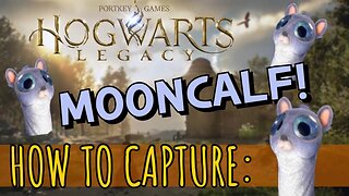 ⚡Where to Find and Capture the Mooncalf in Hogwarts Legacy⚡
