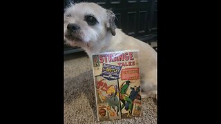 Gizmo and Silver age comic book