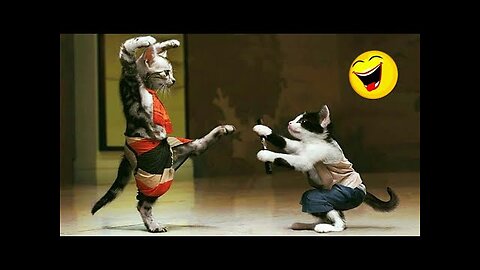 Best Animals Funny Videos 2024 😆 | Animal Comedy Videos | Funny and Cute Cats 🐈 and Dogs 🐕