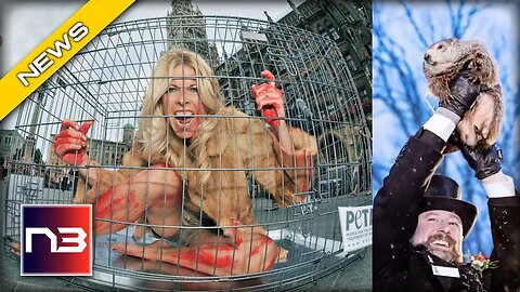 PETA Proposes Insane Swap: A Caged 'Human' For Groundhog Day!