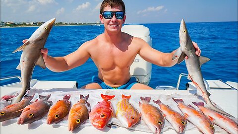 Baby SHARK Sushi & Whole Grilled Snapper! Catch Clean Cook