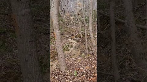 Cutting a Trail Through the Woods