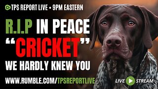R.I.P. IN PEACE "CRICKET" • VIOLENT RACISTS WANT HUMANITARIAN UBER EATS • 9pm ET