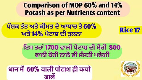 Mop and Molasis derived Potash! which is cheaper