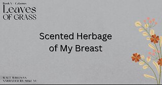 Leaves of Grass - Book 5 - Scented Herbage of My Breast - Walt Whitman