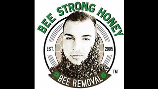 Bee Hive Removal