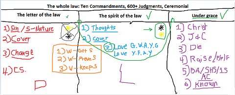 The law and you
