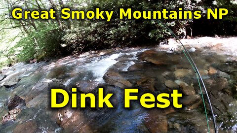 Great Smoky Mountains Fly Fishing - Paying for Good Days