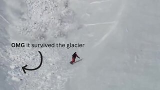 The Dog survived the glacier