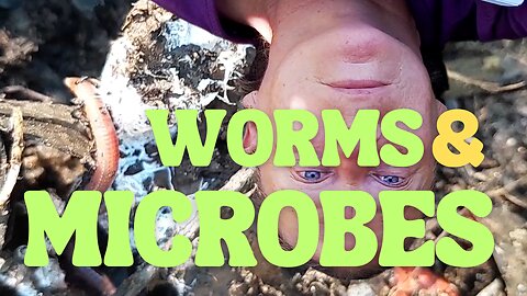 MICROBES & WORMS Can Release Minerals For Your Plants!