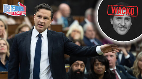 'Wacko' deemed unparliamentary language as Poilievre accurately describes Liberal drug policy