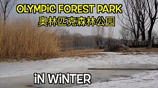 Olympic Forest Park 奥林匹克森林公园 in winter